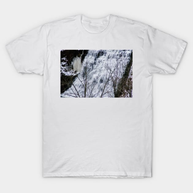 Albion Falls Center Cascades T-Shirt by srosu